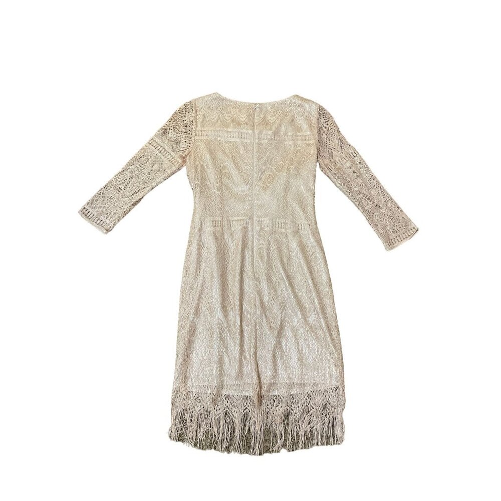 Katherine Kelly Dress Womens 8 Used Beige w/Silver Shimmer Fringe - Picture 6 of 16